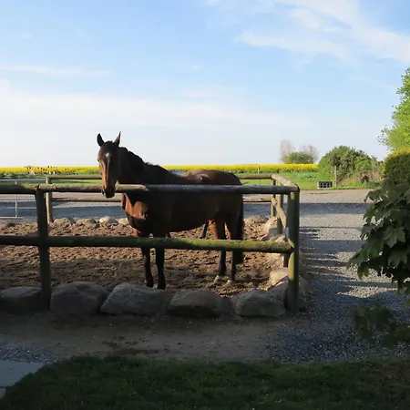 Lägenhet 3 -vaest- *